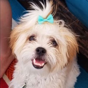 Meet your Posher, Jessica